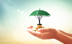 How important is sustainability to protection customers?