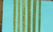 Wheat leaf rust and virulence for Lr23