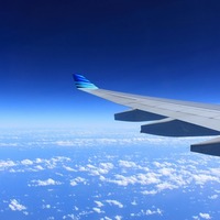 India crash probe triggers review, but FAA sees no fuel fault