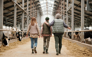 Partner Insight: Agricultural Inheritance Tax – some options to consider