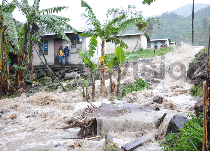  ome part of the country have experienced severe floods due to above normal rains