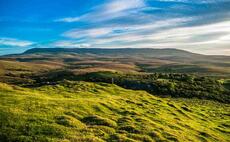 Northern Ireland climate targets threaten half of livestock farmers