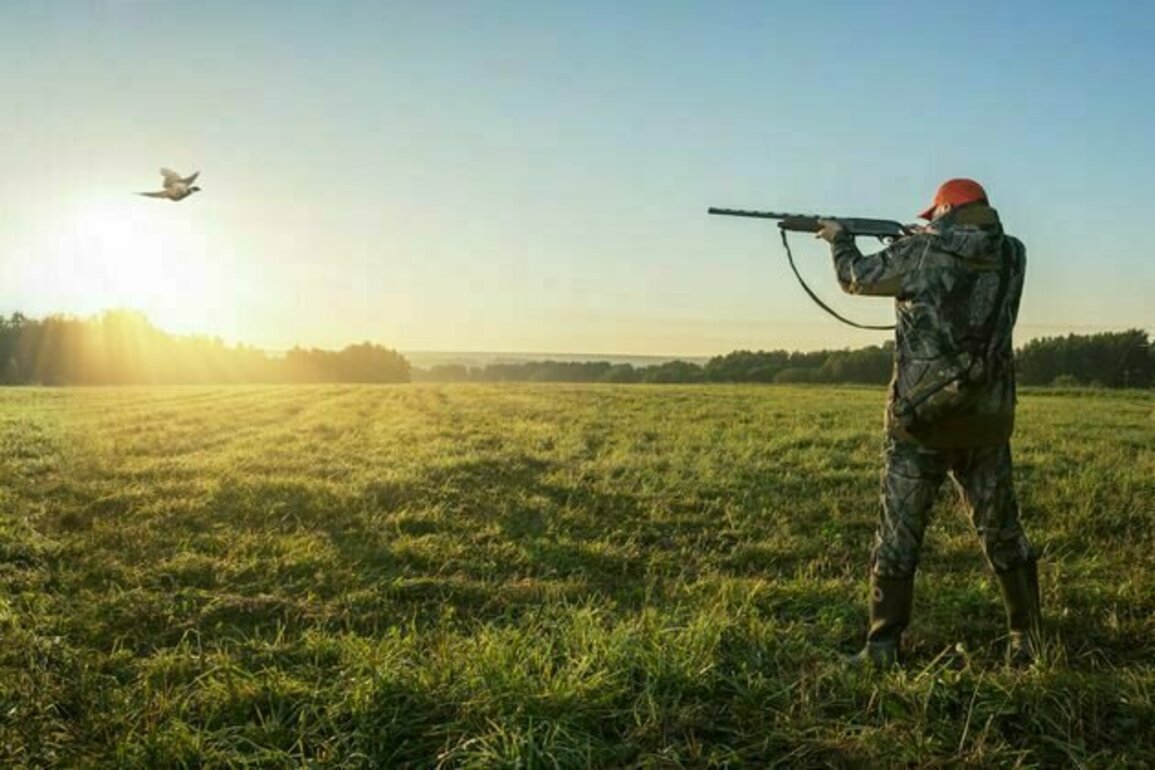 Britain's ban on lead ammunition could save tens of thousands of birds from poisoning