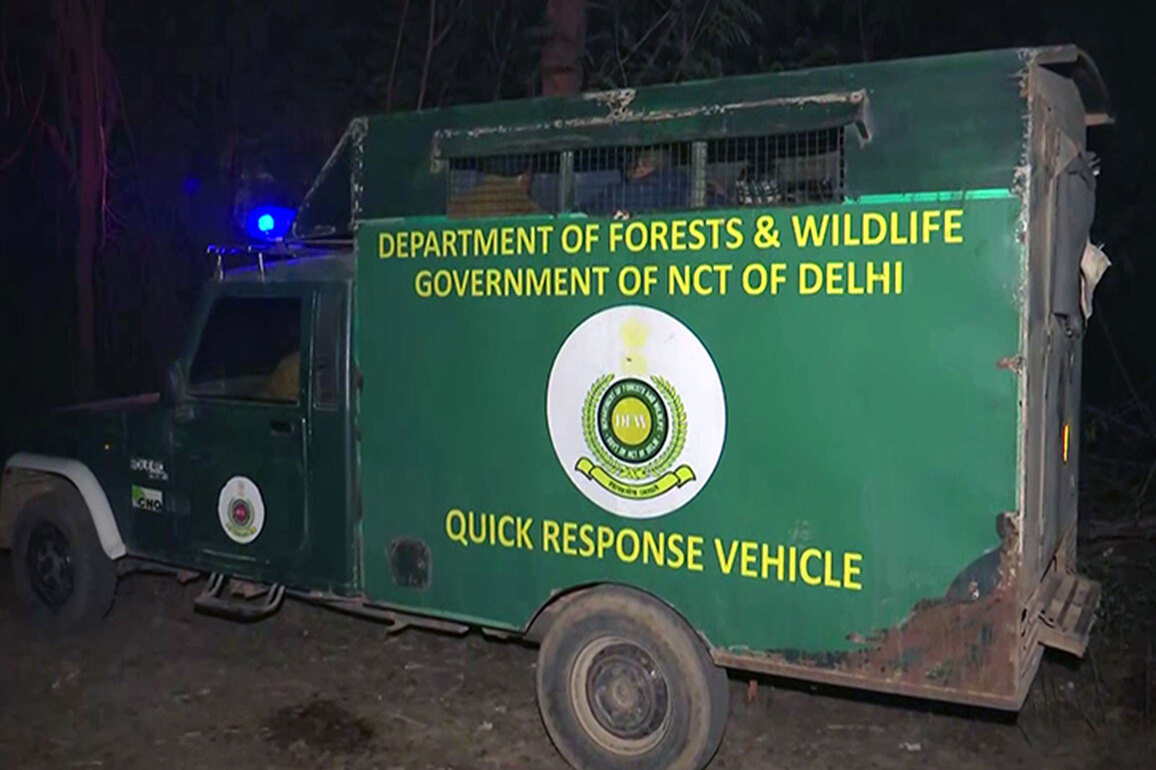 Training workshop on SOPs related to felling of dangerous trees and pruning under DPTA held at Delhi Secretariat