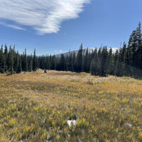 Colorado's subalpine wetlands may be producing a toxic form of mercury - that's a concern for downstream water supplies
