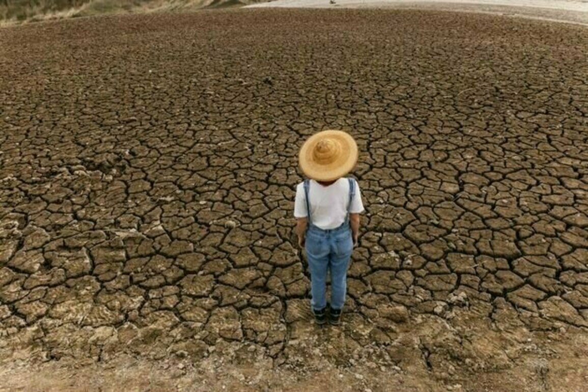 The psychology of climate traps and how to avoid them