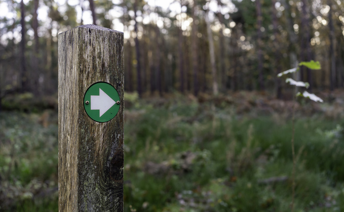 Poorer communities in the UK have much lower access to nature | Credit: iStock