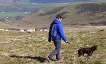 #FGTaketheLead top tips: Enjoy the countryside this Easter - but keep your dog on a lead