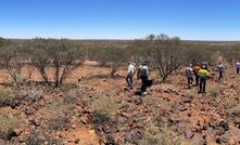 Technology Metals Australia's Gabanintha ground.