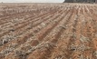  Riverine Plains announces innovative soil management project to help farmers improve drought resilience. Photo: Mark Saunders.