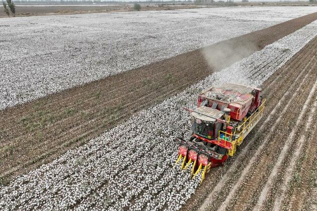 China's Xinjiang emerges as production hub of cotton harvesters