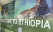 Ethiopia still drawing a crowd