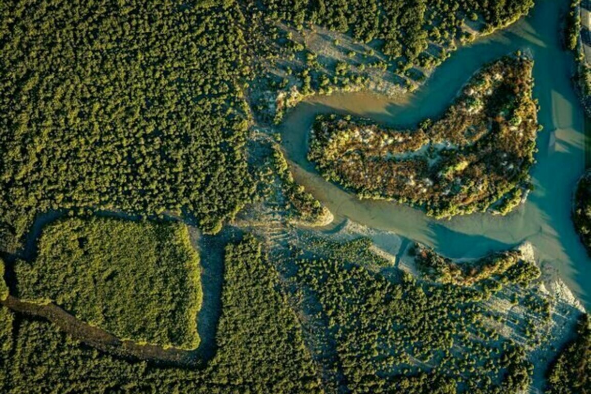 Wetland restoration is seen as sunk cost - but new research shows why it should be considered an investment