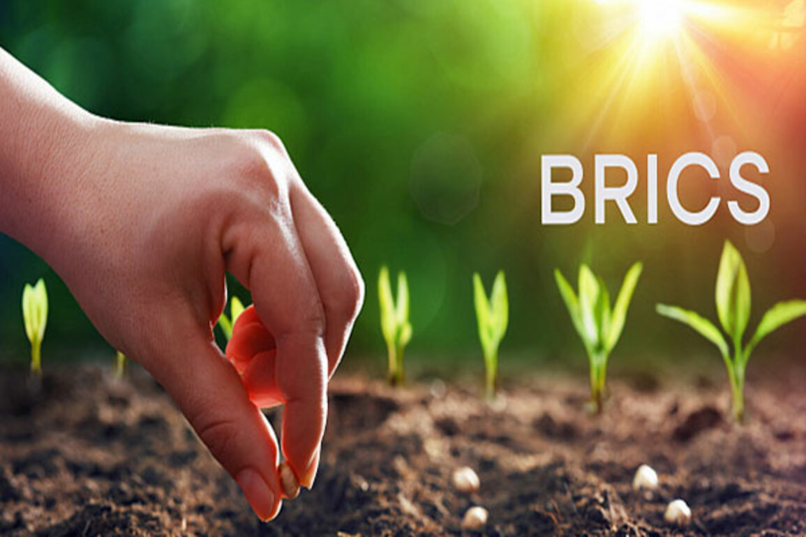 BRICS Innovation cultivates global sustainable agriculture future