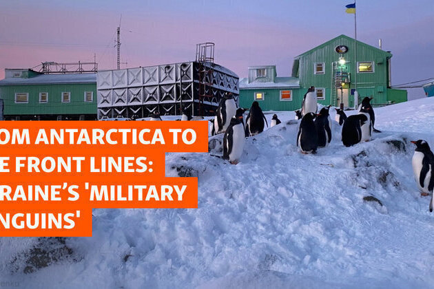 From Antarctica To The Front Lines: Ukraines 'Military Penguins'