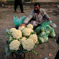 Pakistan's Ramazan relief under scrutiny as poor struggle amid store closures