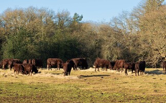 Farming in harmony with nature is key to success of Surrey estate