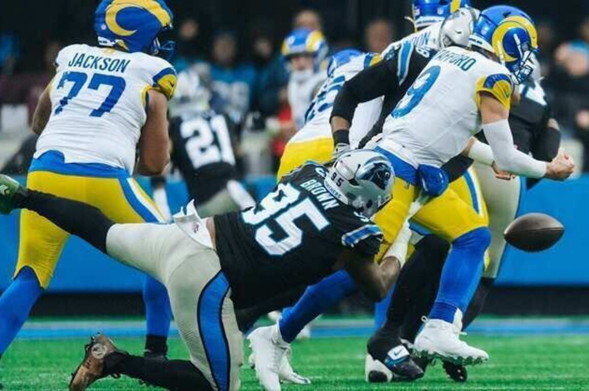 Panthers will face the Rams in next weekend's wild card game