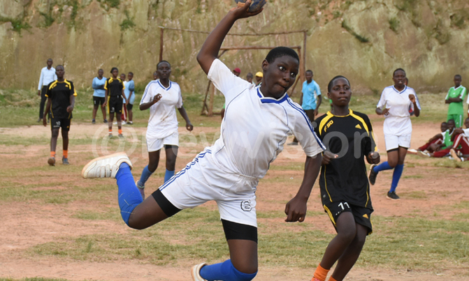 National Handball Novices tournament for Saturday National Handball Novices tournament for Saturday