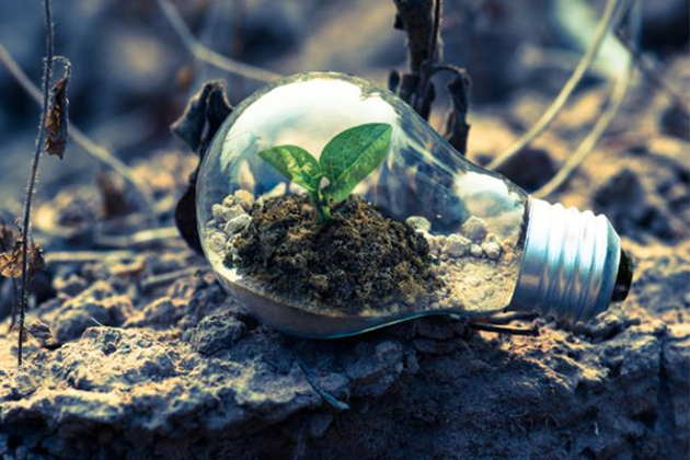 Climate resilience tools to hit USD 1.3 trillion by 2030, opening doors for private players: Report