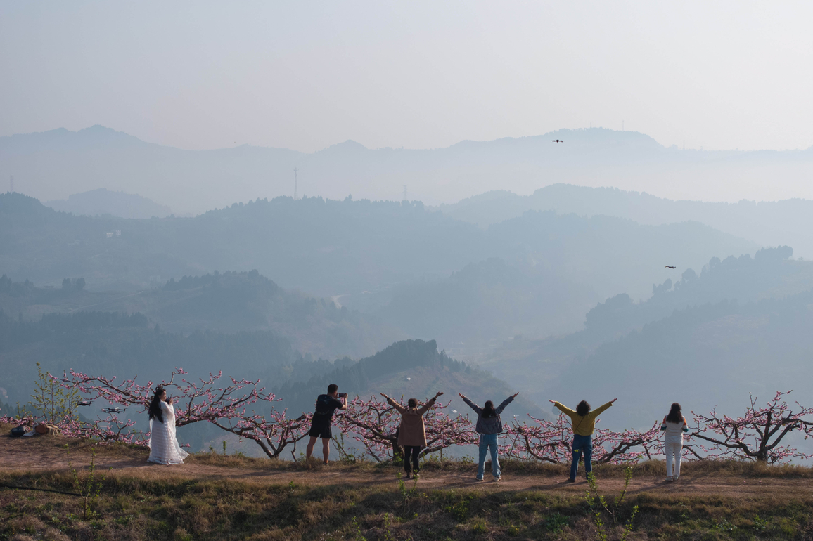 CHINA-SICHUAN-PEACH BLOSSOM (CN)