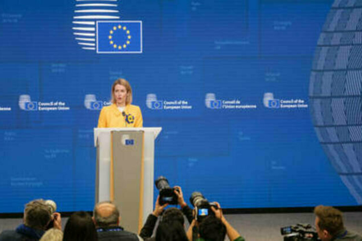 EU states can't agree on Russian assets - Kallas