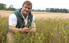 Talking agronomy with Ben Boothman: I hope we can refrain from sowing oilseed rape for at least another couple of weeks
