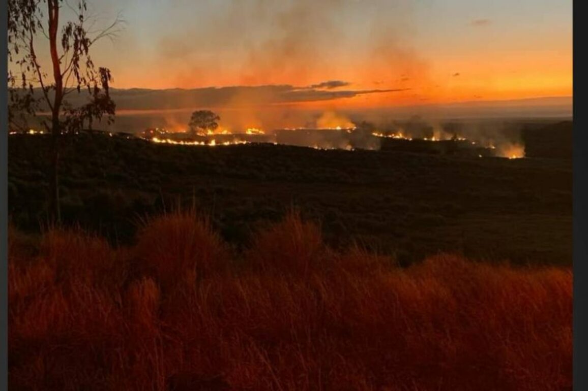 Vibrant Hawaii and Hawaii County Civil Defense&nbsp;to host disaster preparedness webinar series