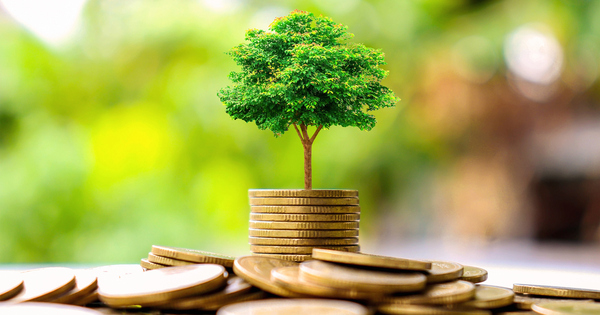 Morgan Stanley IM's Calvert launches three active Article 8 funds - Vimarsana News