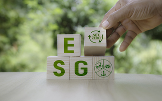 Only 16% of respondents said ESG investment was a priority for their scheme's members