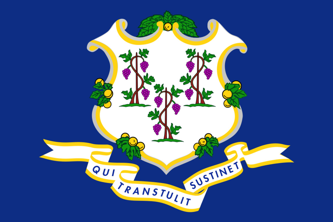 Opinion- Connecticut, don't despair, organize