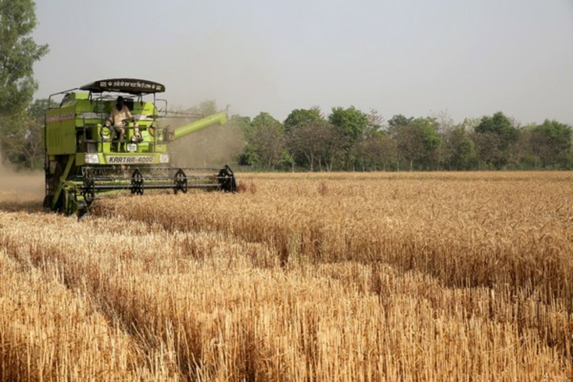 India to see timely kharif sowing on improved rain forecast by IMD: ICRA