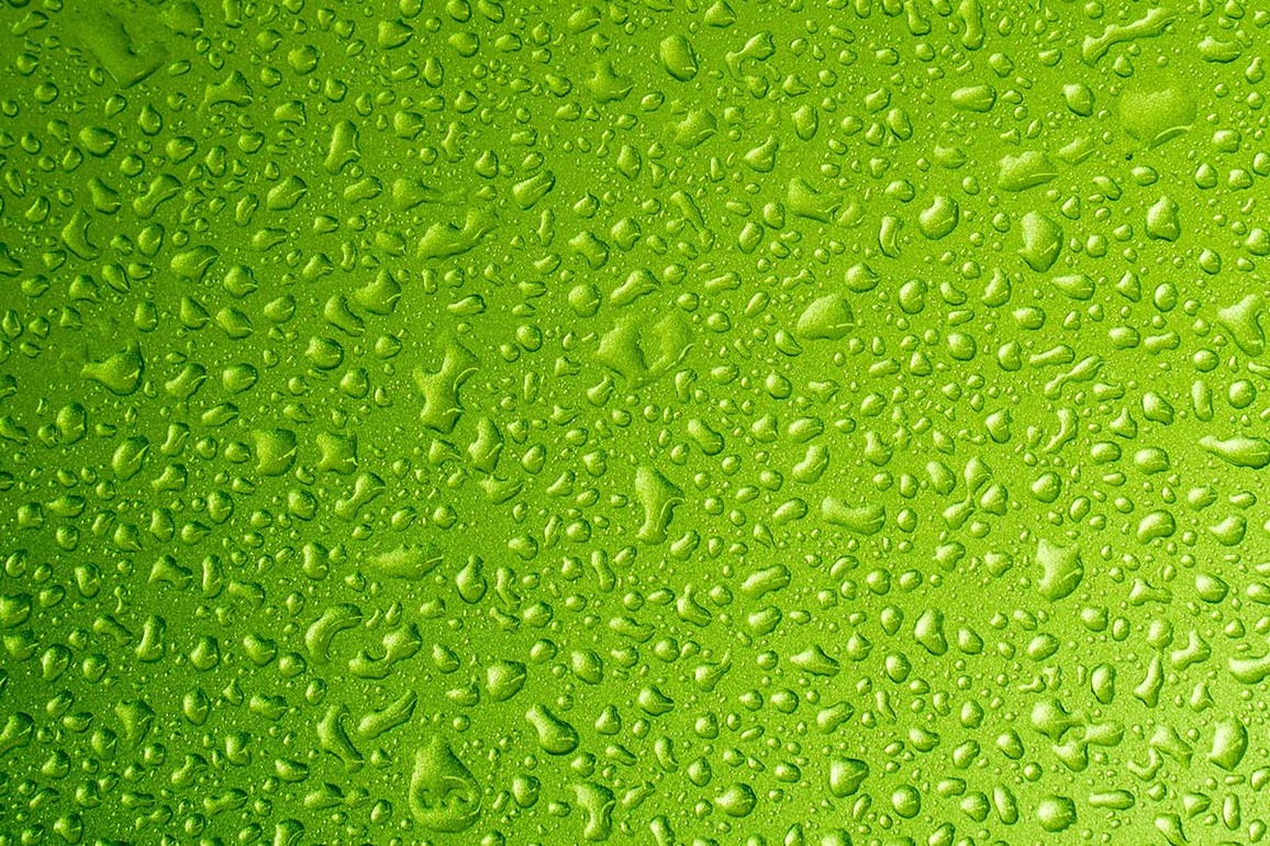 Research untangles role of stress granules in neurodegenerative disease - The Source - WashU