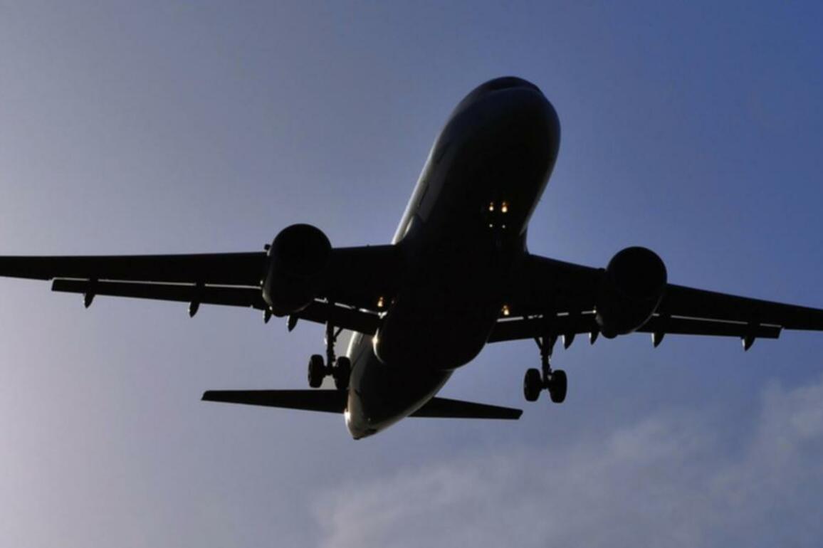 WA woman charged with assaulting airline crew and AFP officers on New Zealand to Sydney flight