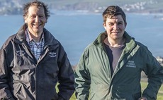 SHEEP SPECIAL: Figures back up integrated flocks continual improvement