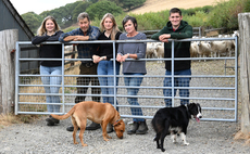 Why the Welsh Mule is the breed with no by-product in a traditional Mid Wales beef and sheep system