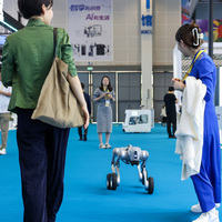 CHINA-HAINAN-HAIKOU-CICPE-ROBOTS (CN)