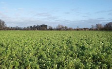 UK/US partnership launches first farmer soil carbon credits scheme