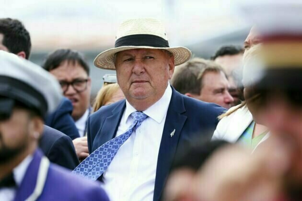 Memo to Shane Jones: what if NZ needs more regional government, not less?