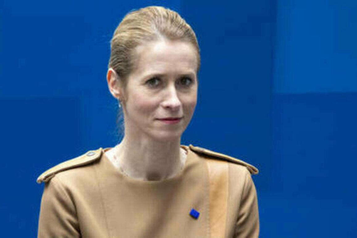 EU's Kallas urges 'pressure on Russia' ahead of Putin-Trump talks