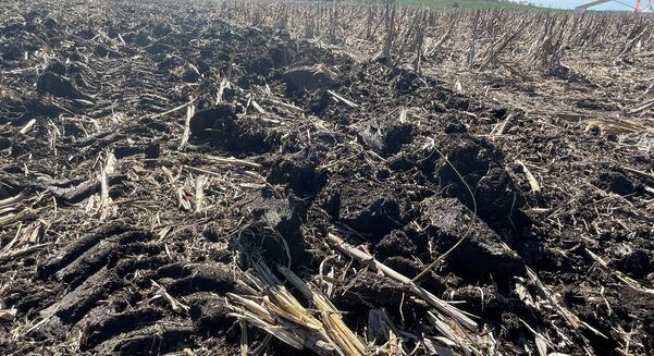 New research has shown there is potential for primary producers to be rewarded for good soil stewardship. 