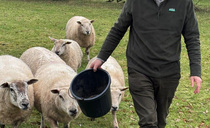 FARM HEALTH: Nip It In The Bud campaign helps diagnose former farmer with prostate cancer