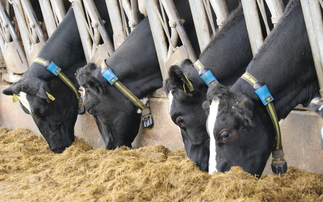 Greater integration of precision livestock technologies needed to improve UK production efficiencies