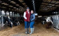 A mixed farming system is the key to one dairy farm's success   