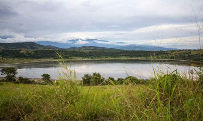 The wildlife safari experience in Queen Elizabeth National Park The wildlife safari experience in Queen Elizabeth National Park