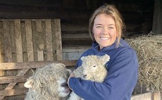 From the lambing shed: A reflection of the highs and lows of lambing time