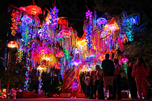 CHINA-SICHUAN-ZIGONG-MANUFACTURING-LANTERN-DINOSAUR (CN)