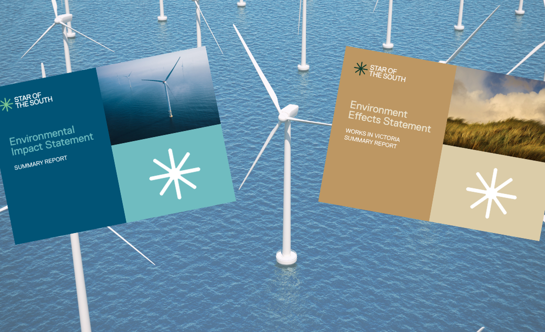 Star of the South plan opened up for public consultation