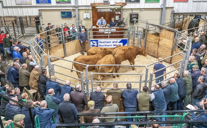 Why Hexham and Northern Marts is investing in the future of livestock markets