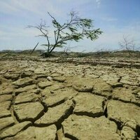 Droughts don't just dry up water - they drain livelihoods and weaken local economies